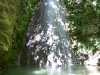 cascata gaina